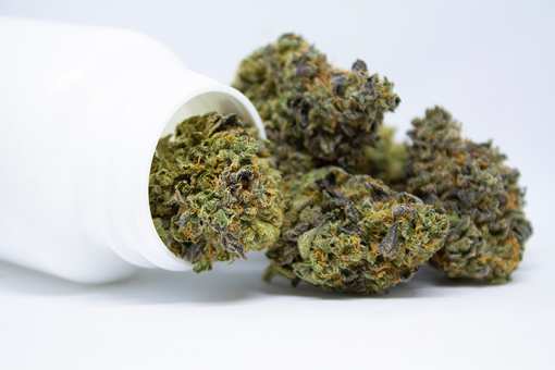 10 Best Marijuana Dispensaries in New York!